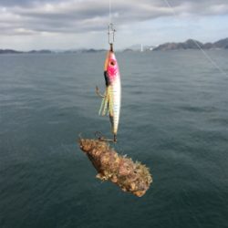 3年ぶりのハギング