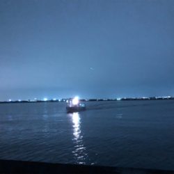 夕まずめアジ回遊