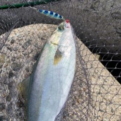 長期ボーズから脱出!