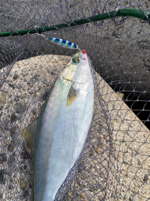 長期ボーズから脱出！