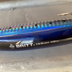 鰤をブリットで