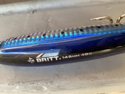 鰤をブリットで