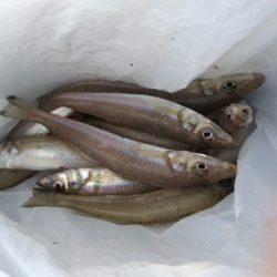 久しぶりのキス時々・・