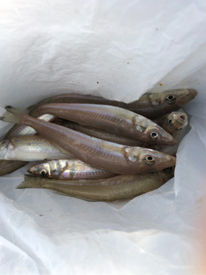 久しぶりのキス時々・・