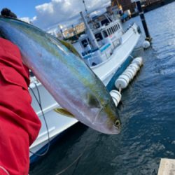 hayhayshipさんでのオフショア