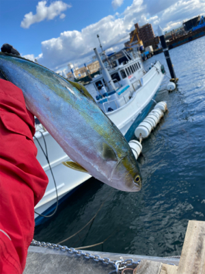 hayhayshipさんでのオフショア