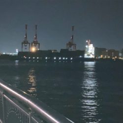 昼渋、夕マズメ、