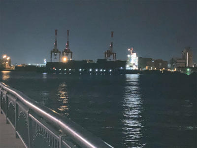 昼渋、夕マズメ、