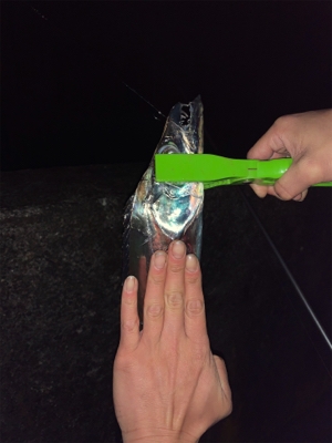 ドラゴンを求めて三千里！