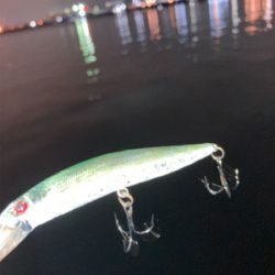 傷ついたルアーはダイソーで補修