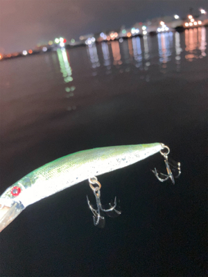 傷ついたルアーはダイソーで補修