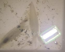 アジング練習 223  ⭐ヒイカ気配⭐