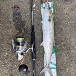 久々の爆釣果！