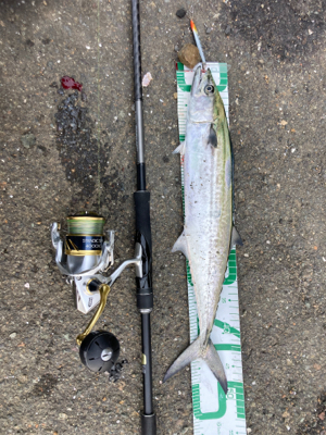 久々の爆釣果！