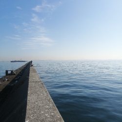 ショアジギング