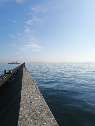 ショアジギング