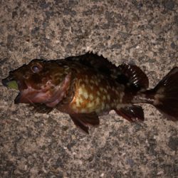 活性が低い時は・・・