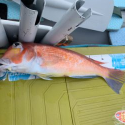 久しぶりの日本海へアマダイ狙い