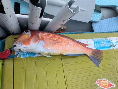 久しぶりの日本海へアマダイ狙い