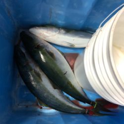 初、船ノマセ！