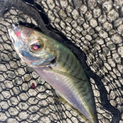 フロートアジング