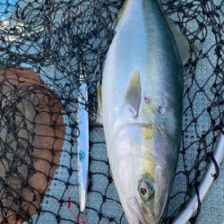 ルンルンルンゴ♪(ジギング)