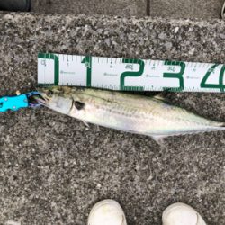 今年最後に‼︎