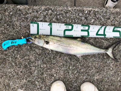 今年最後に‼︎