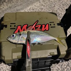 昨日のリベンジ釣行