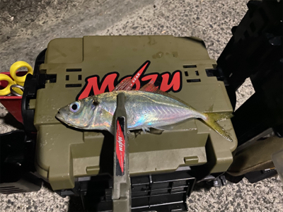 昨日のリベンジ釣行