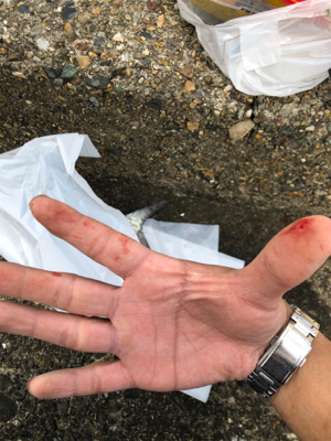 サゴシチューンの感度の良さ