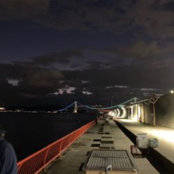 ボチボチ、かな？