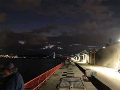 ボチボチ、かな？