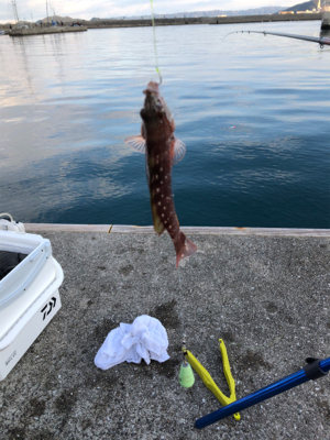 クサフグまみれ