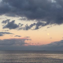 タチウオいない