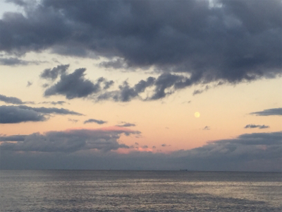 タチウオいない