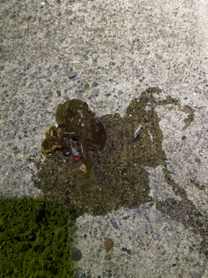 仕事帰りのライトゲーム