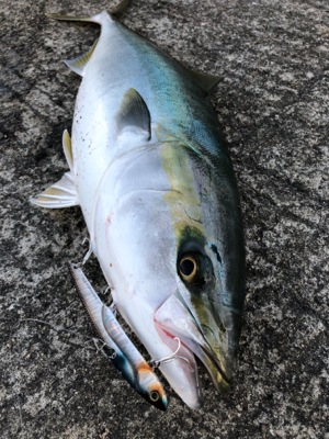 ファイト一発！