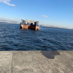 ブルーキング　最終日！