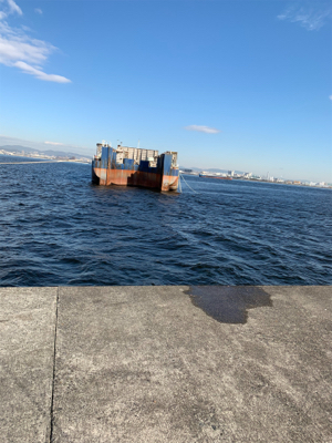 ブルーキング　最終日！