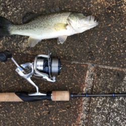 瀬田川ランガン