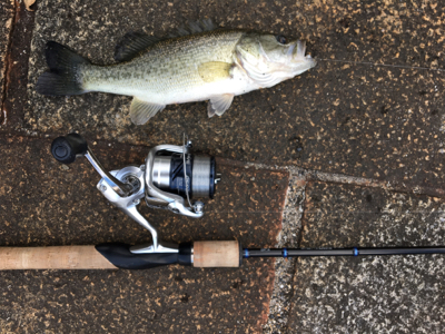 瀬田川ランガン