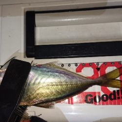 寒くなって厳しくなった