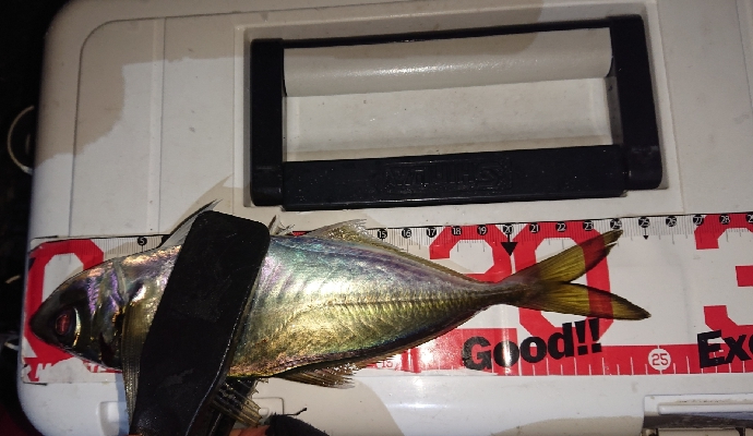 寒くなって厳しくなった