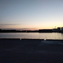 チンタでも満足