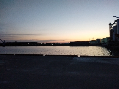 チンタでも満足