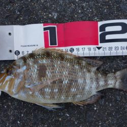 移動して正解！