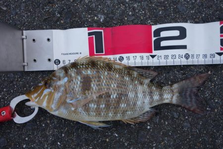 移動して正解！