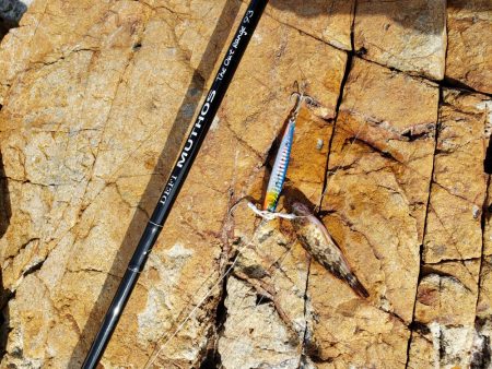 安定の( ノД`)…