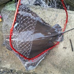 プチsalt water game!